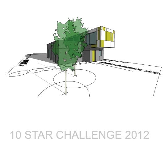 10 star design challenge perspective